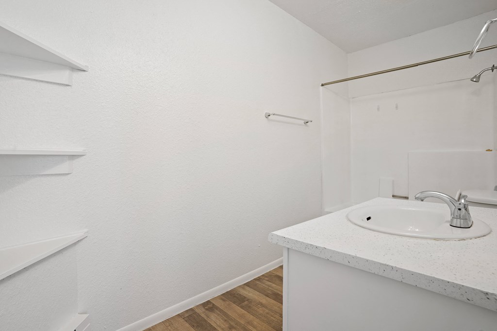 a bathroom with a sink and a mirror and a shower