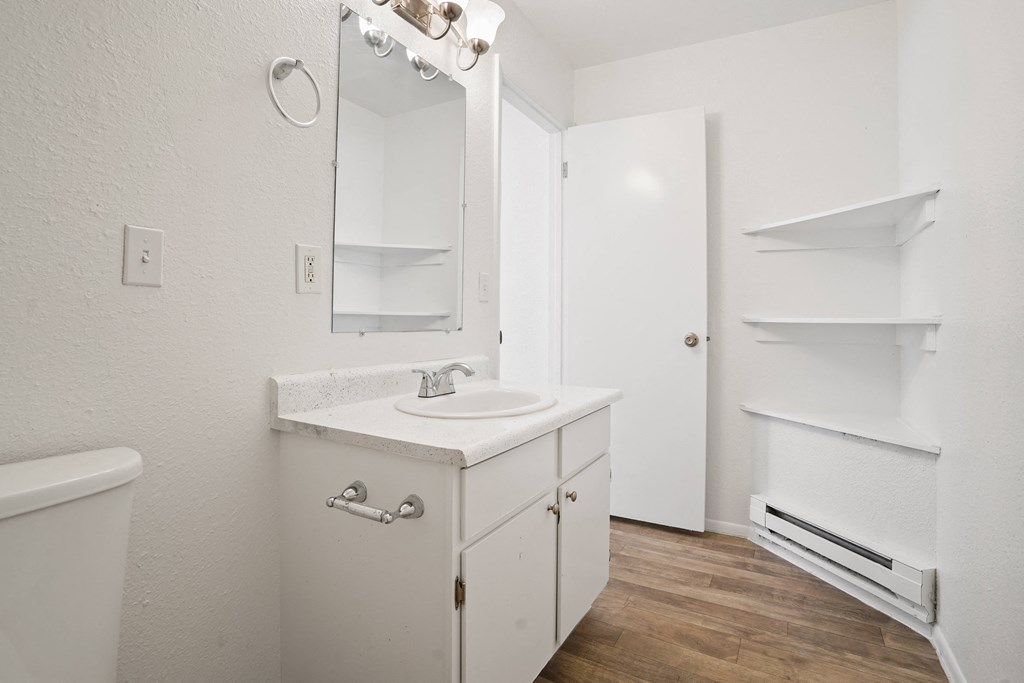 a bathroom with a sink and a mirror and a closet