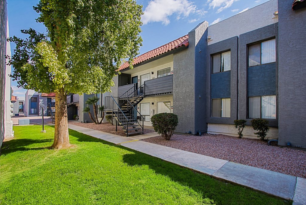 our apartments have an outdoor area with a tree