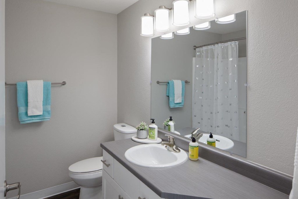 Aspire Trailmark Model Bathroom