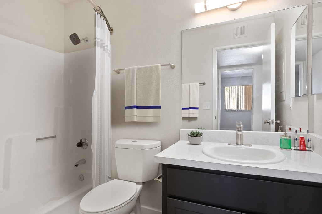a bathroom with a toilet sink and mirror and a shower