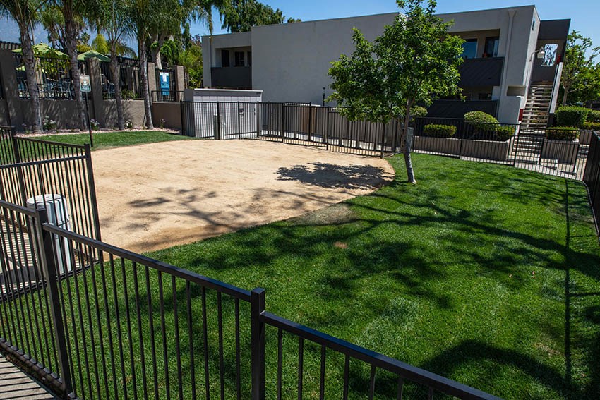 Dog Park with Lush Grass and a Black Fence at Aspire Upland Apartments, California, 91786