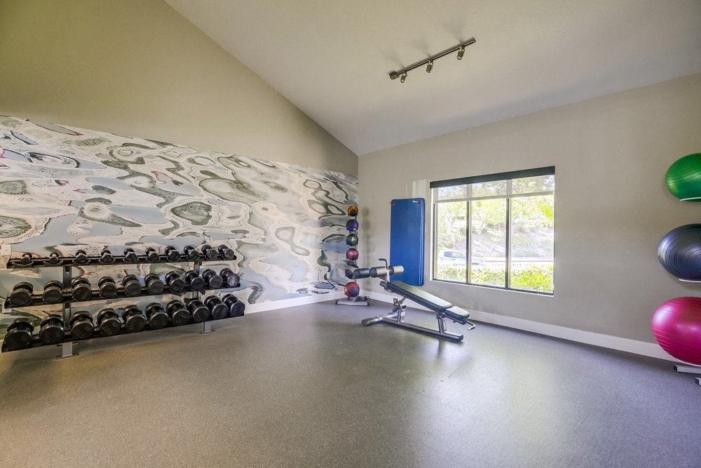Exercise Balls, TVs, and More at Vista Promenade Apartments, Temecula