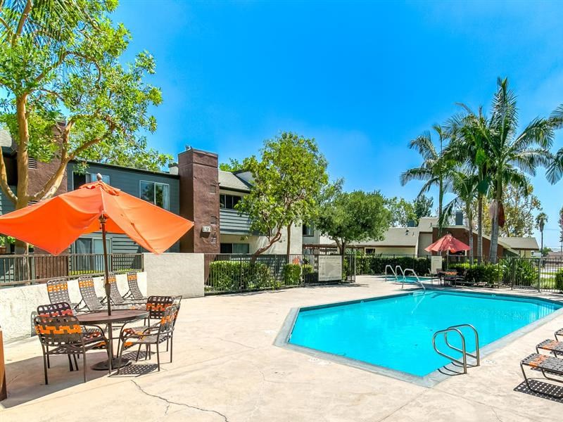 Apartments in Ontario, CA - Avante Sparkling Swimming Pool Surrounded by Lush Landscaping and Lounge Seating - Photo Gallery