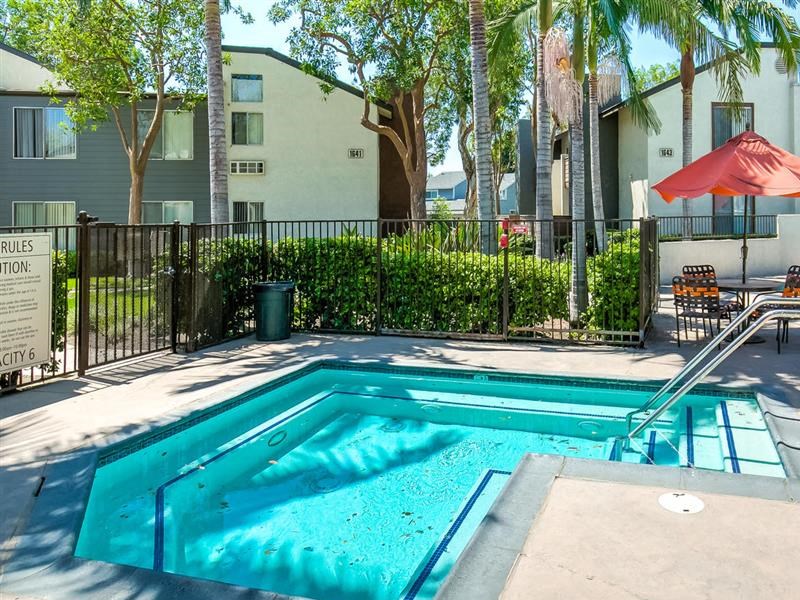 Dog Friendly Apartments in Ontario CA - Avante - Gated Hot Tub Surrounded by Palm Trees - Photo Gallery
