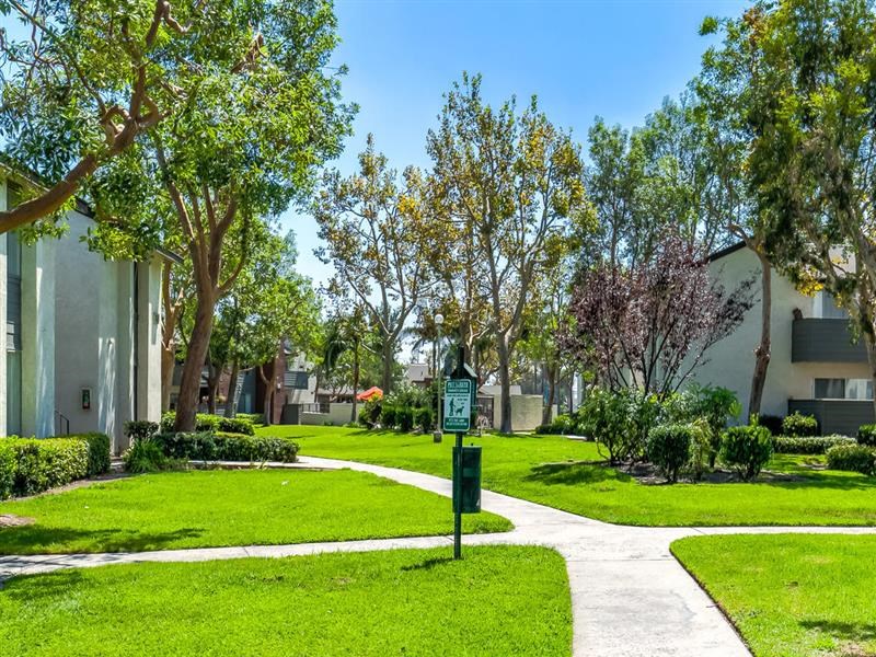 Apartments in Ontario for Rent - Avante - Lush Courtyard - Photo Gallery