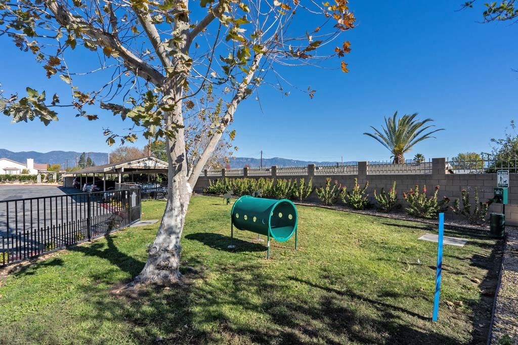 a large grassy area with a tree in the foreground and a parking lot in the background at Aspire Rialto, Rialto, 92376