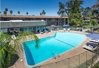 Apartments for Rent in East Sacramento, CA- Aspire Sacramento- Sparkling Large Pool with Lounge Chairs and Umbrellas - Photo Gallery 5