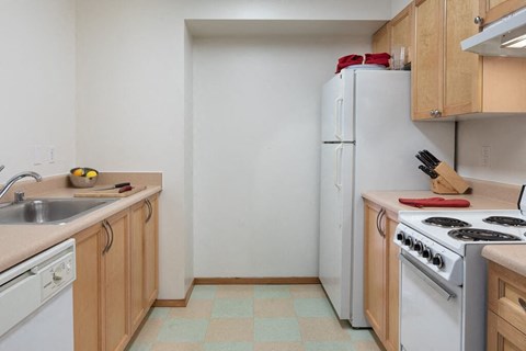 a kitchen with a stove refrigerator and a sink