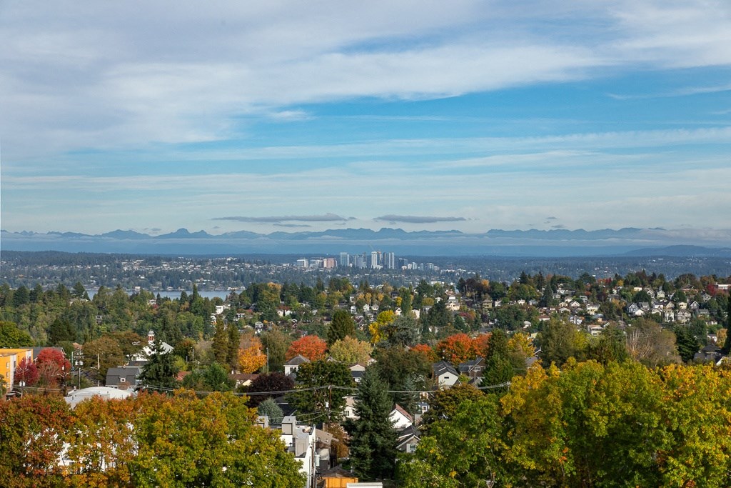 a view of the city and the mountains