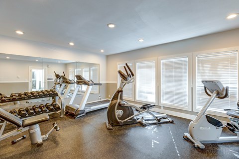 A spacious gym with a row of treadmills, a row of stationary bikes, and a rack of dumbbells.