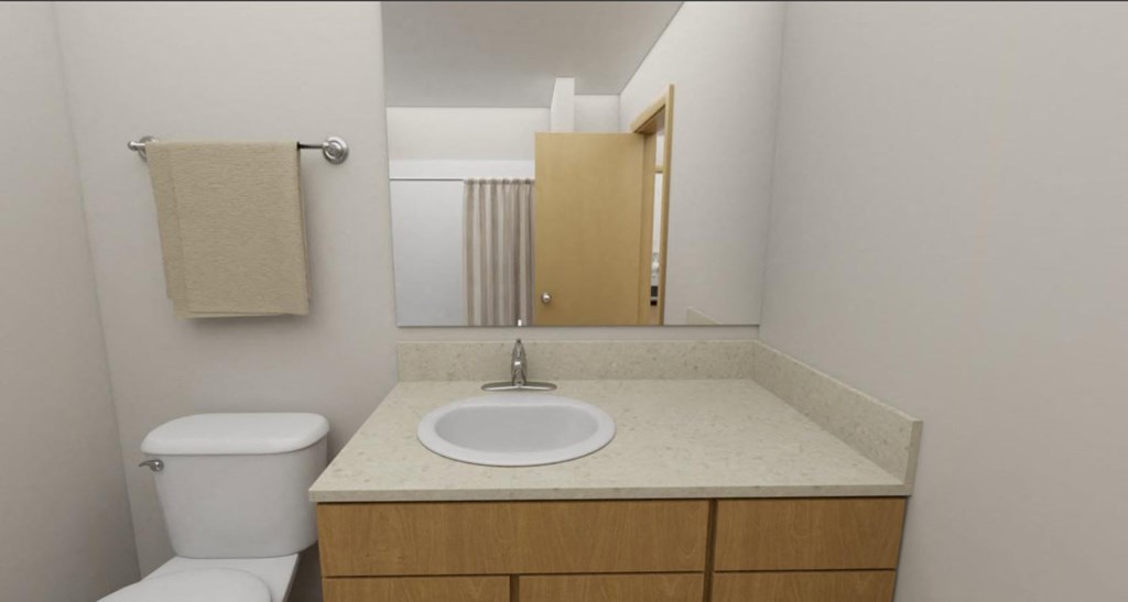 a bathroom with a sink and a toilet and a mirror