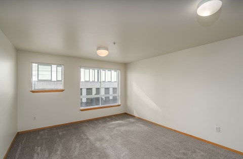 A room with a grey carpet and two windows.