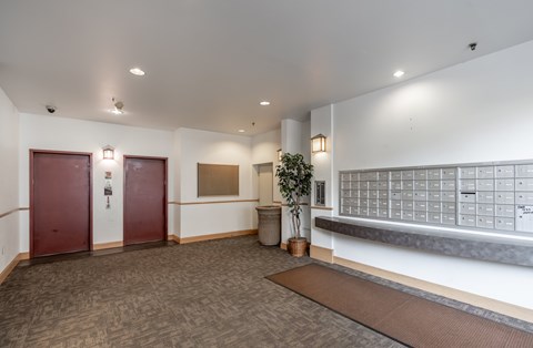 A room with a carpeted floor and a wall of mailboxes.