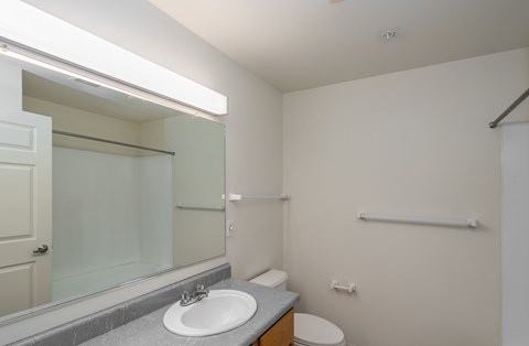 A bathroom with a sink, toilet, and mirror.