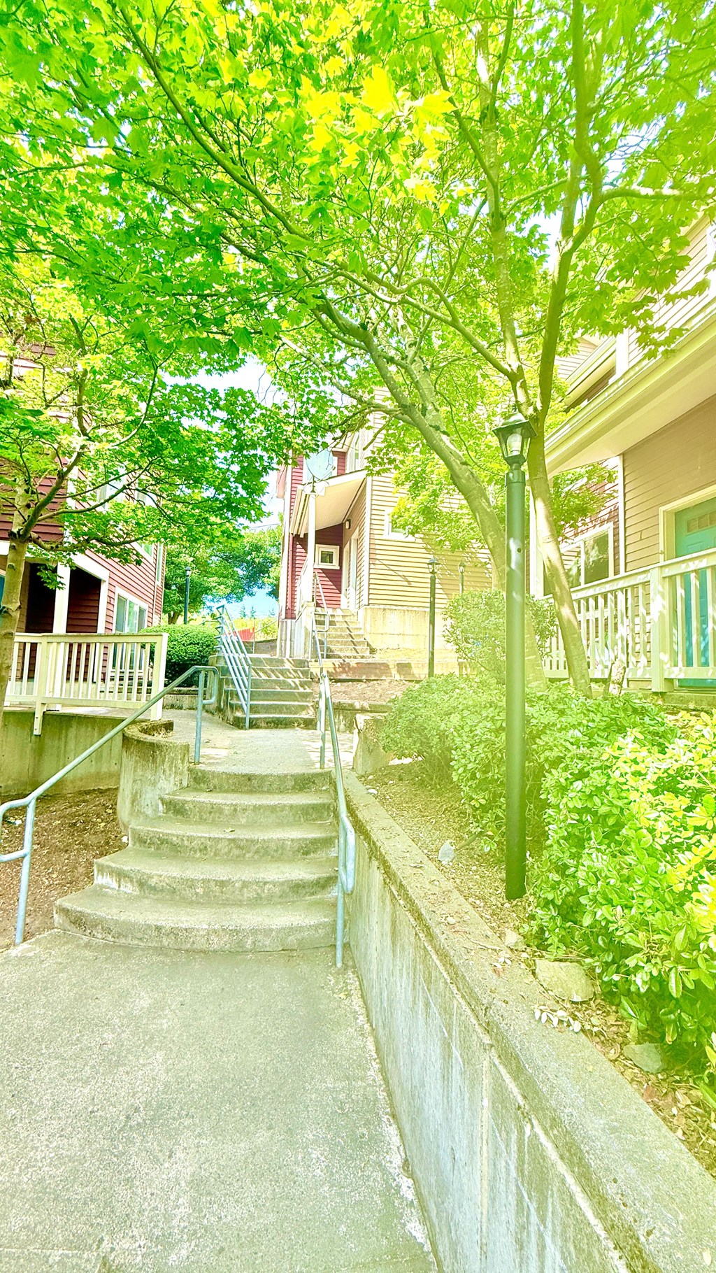 A tree with green leaves is in front of a house.