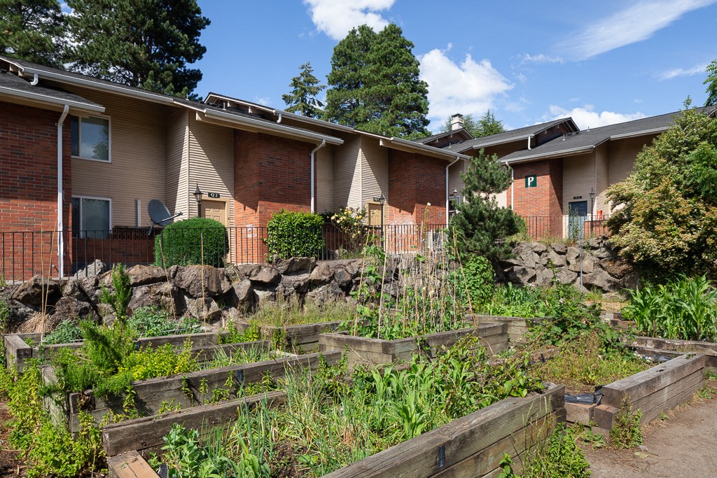 a garden in a yard in front of a house
