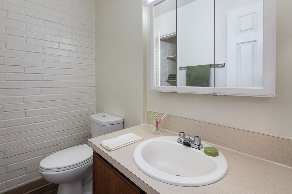 a bathroom with a sink and a toilet and a mirror