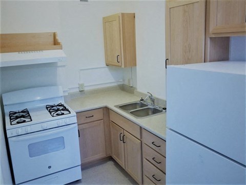 a kitchen with a stove and a sink and a refrigerator