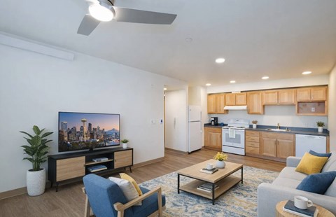 A living room with a television, a blue chair, a coffee table, and a potted plant.