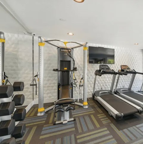 A gym with a treadmill, weights, and a mirror.