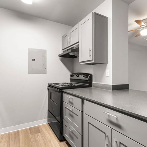 2136 South 272Nd Street Studio-2 Beds Apartment for Rent