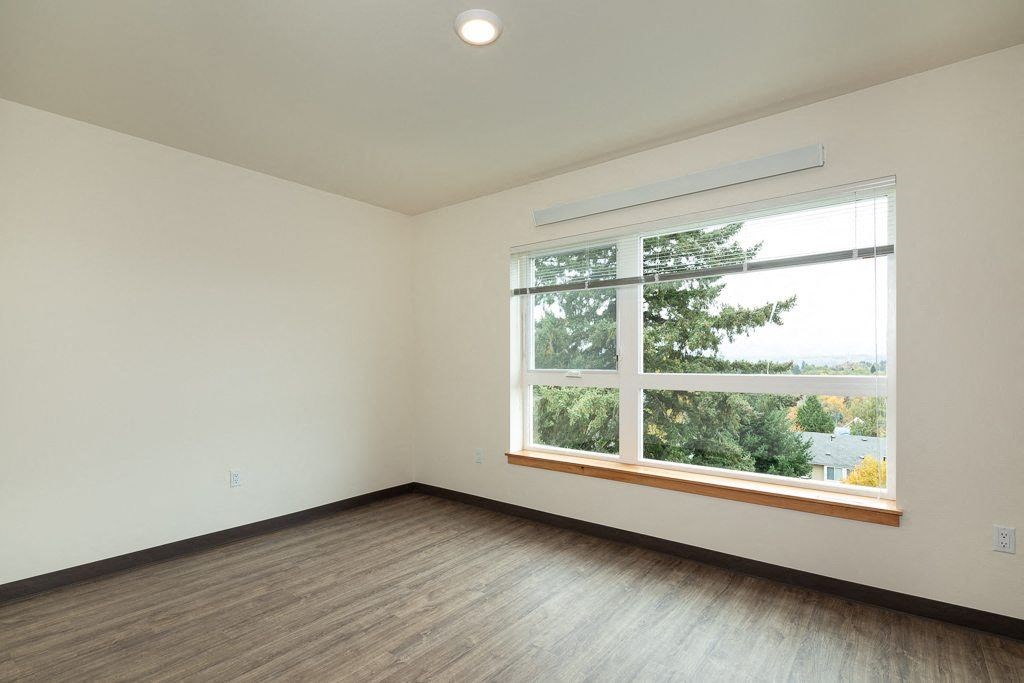 A room with a window overlooking a tree.