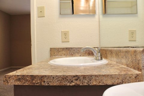 a bathroom with a sink and a mirror