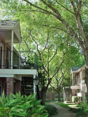 2801 Walnut Bend Lane 1-2 Beds Apartment for Rent - Photo Gallery