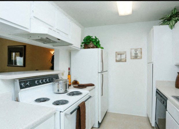 a white kitchen with a stove and a refrigerator