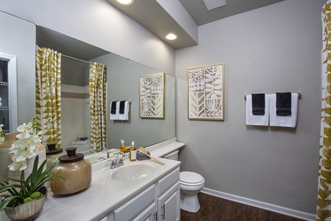 Indianapolis Lake Clearwater Apartments bathroom with large vanity