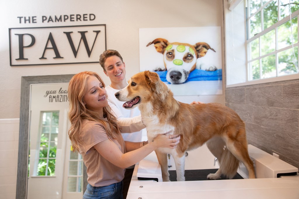 Longwood Golf Brook Apartments Pet Spa