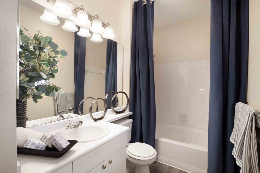 Grove Swift Creek Apartments Primary bathroom