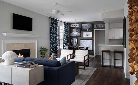 Willow Lake Apartments