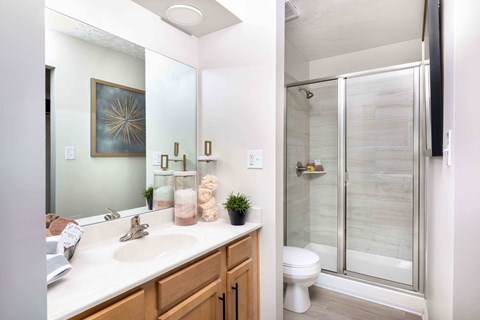 Louisville Kentucky Plainview Apartments Spacious Primary Bathroom