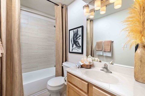 Louisville Plainview Apartments bathroom