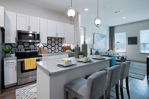 Sagemont Apartments Irving Texas Kitchen