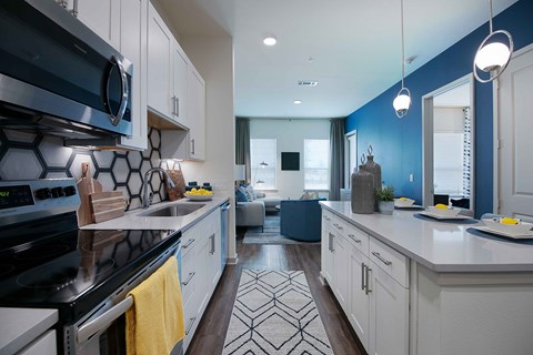 Sagemont Apartments Irving Texas Kitchen