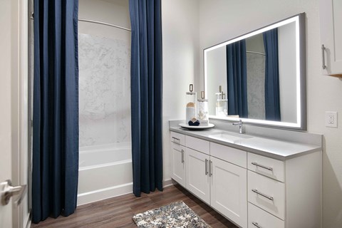 Sagemont Apartments Irving Texas  Secondary Bathroom