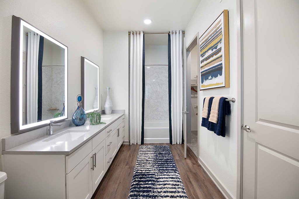 Sagemont Apartments Irving Texas Bathroom