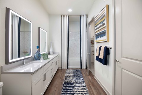 Sagemont Apartments Irving Texas Bathroom