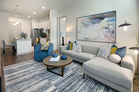 Sagemont Apartments Irving Texas Living Room