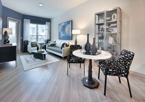 Sagemont Apartments Irving Texas Living Room