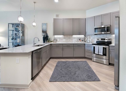 Sagemont Apartments Irving Texas  Kitchen