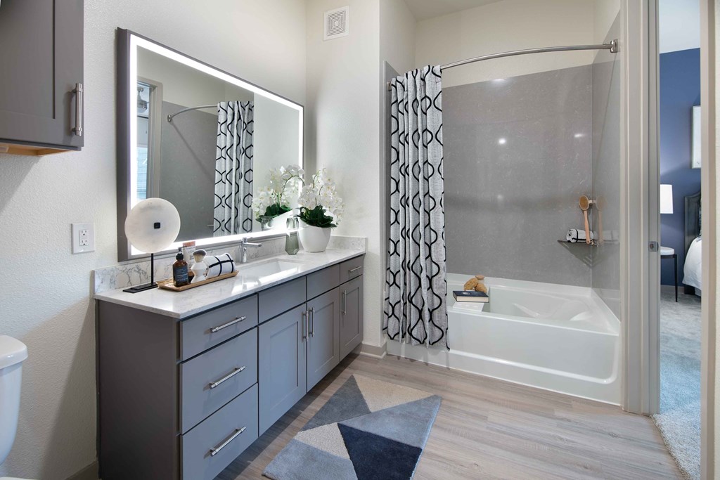 Sagemont Apartments Irving Texas Primary Bathroom