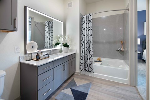 Sagemont Apartments Irving Texas Primary Bathroom