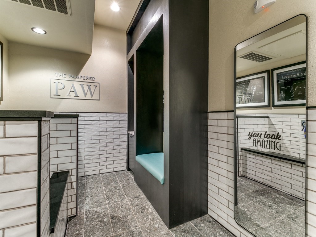 Sagemont Apartments Irving Texas The Pampered Paw pet spa