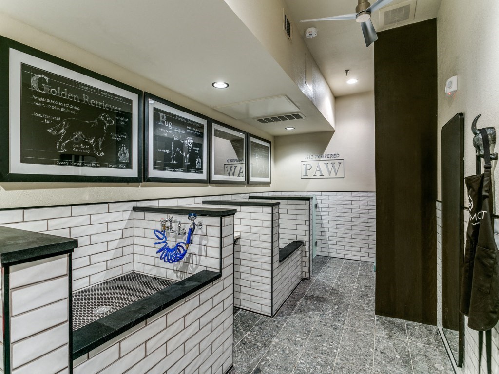 Sagemont Apartments Irving Texas The Pampered Paw pet spa