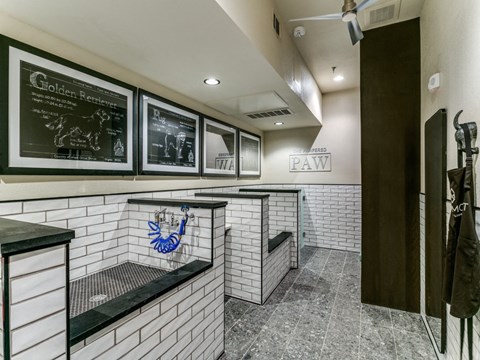 Sagemont Apartments Irving Texas The Pampered Paw pet spa