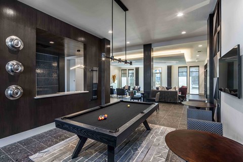 Sagemont Apartments Irving Texas Entertainment Lounge